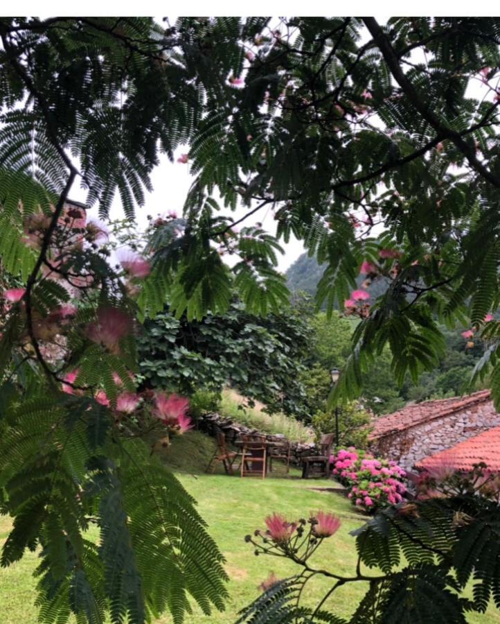 Hdec Hosteria De Castaneda Alojamiento Turistico Puente Viesgo Exteriör bild