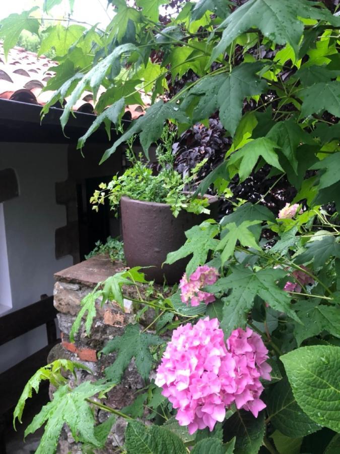 Hdec Hosteria De Castaneda Alojamiento Turistico Puente Viesgo Exteriör bild